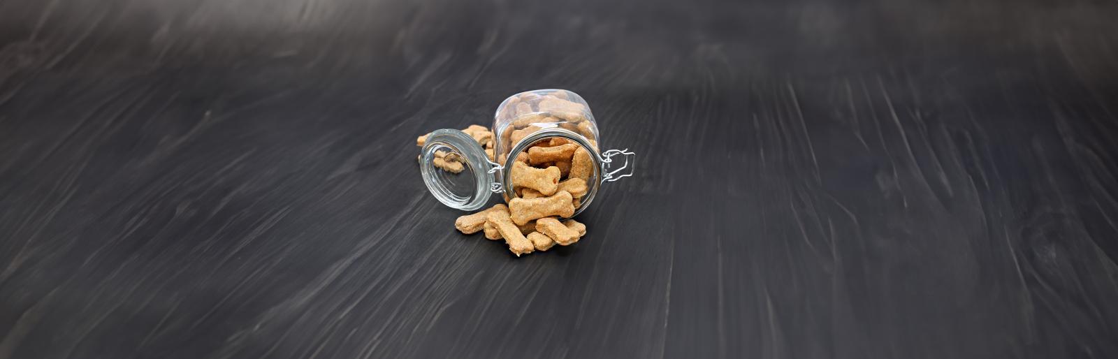 Ein Fest für Fellnasen: Selbst gebackene Weihnachtskekse für deinen Hund
