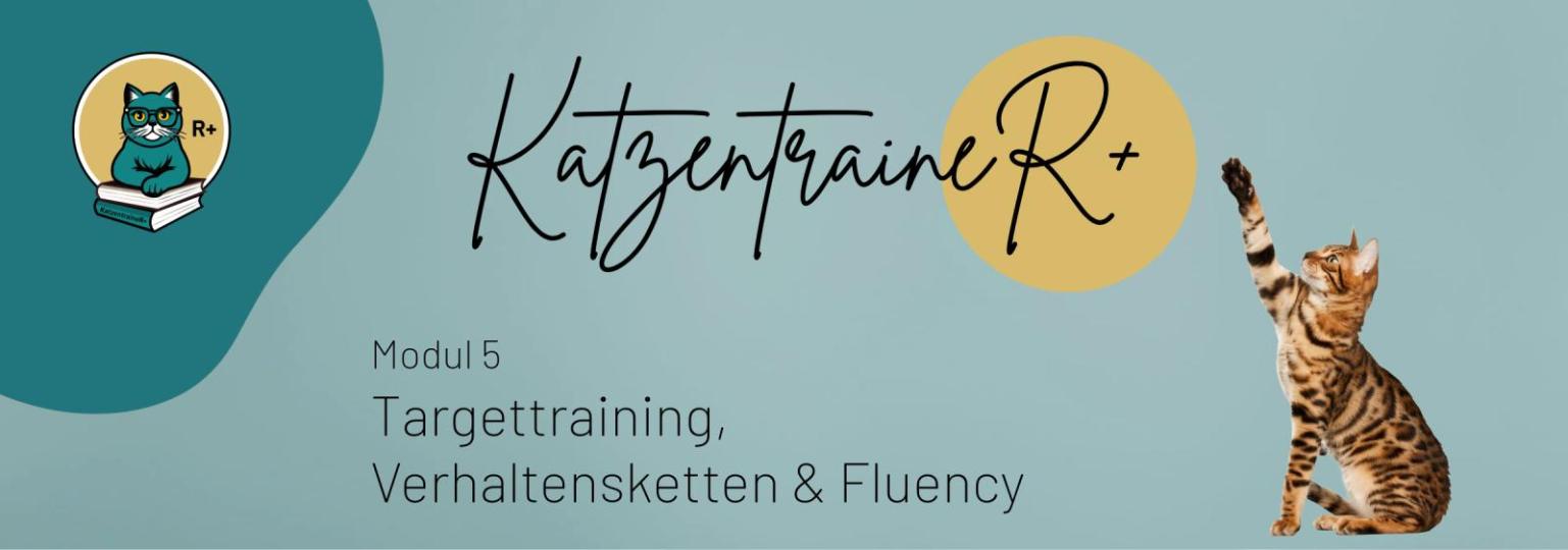 Modul 5 - Targettraining, Verhaltensketten & Fluency