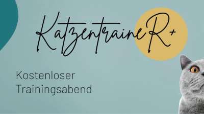 KostenloseR+ Trainingsabend