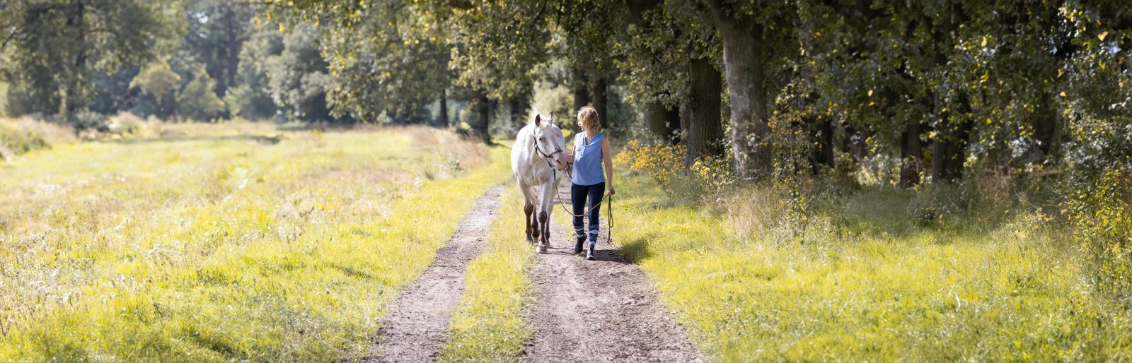 Das Haustier als Herausforderung: So kommst du besser durch Tierkrisen