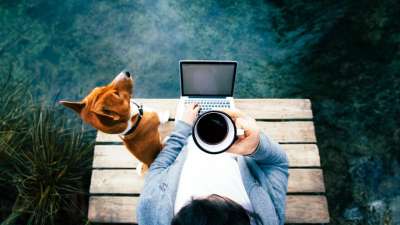 Dein Start ins Tierbusiness: 7 Fragen, die du dir vorher stellen solltest