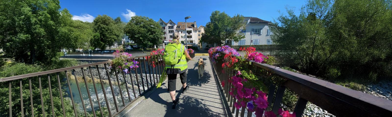 Der Held in Calimero: Mantrailing für Hunde mit besonderen Bedürfnissen
