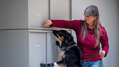 Michaela Hares und ihre Spürhunde: So helfen Murot & Fosco gegen Bettwanzen