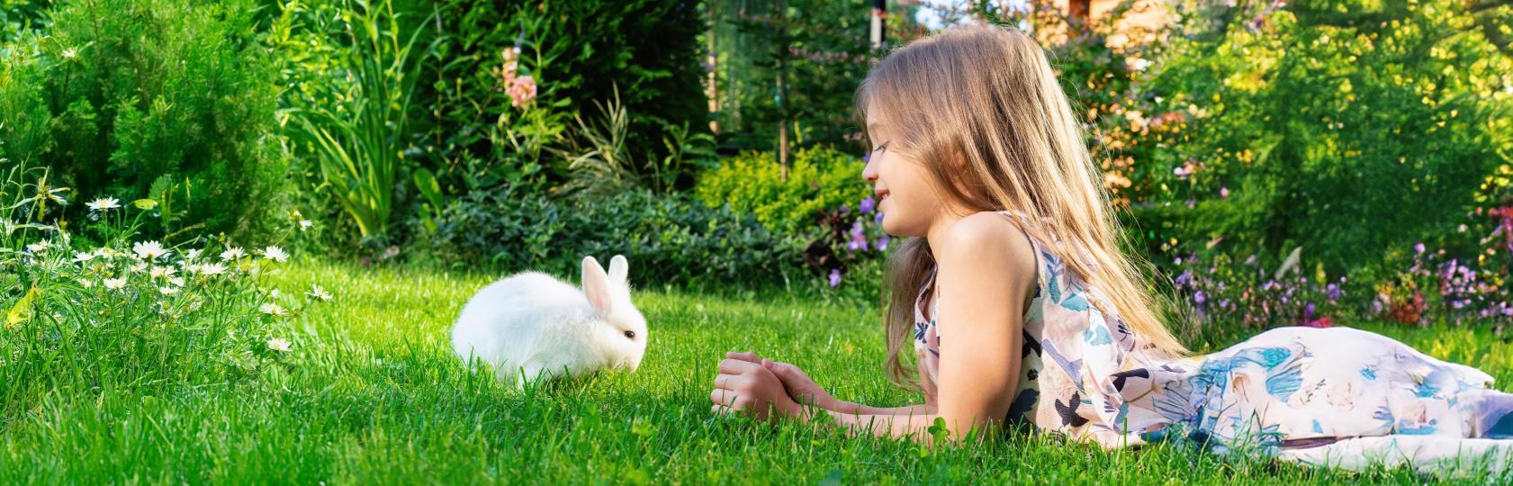 Mythos "Kindertier": So familientauglich sind Zwergkaninchen wirklich