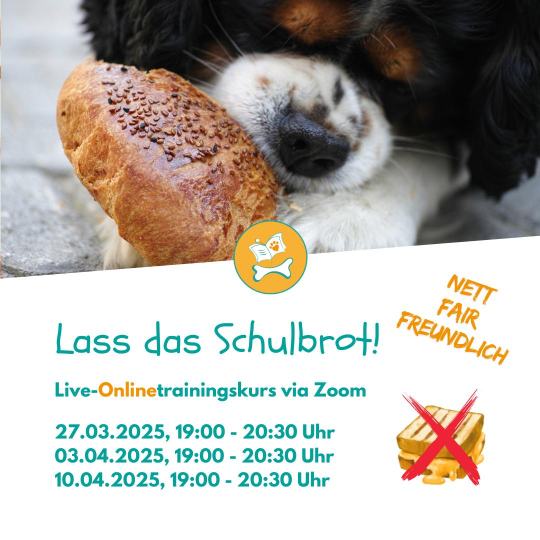Onlinekurs: "Lass das!" (Livetraining via Zoom)