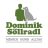 Dominik Söllradl