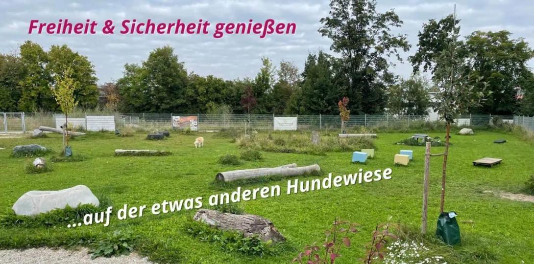 INNsider Hundewiese Ampfing - die etwas andere Hundewiese