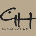Hundeschule Gehorsamer Hund
