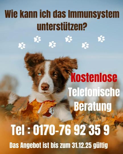 Wie kann ich das Immunsystem untersützen bei Hund