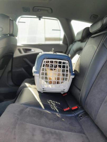 Selbstlernkurs "Stressfreies Autofahren"
