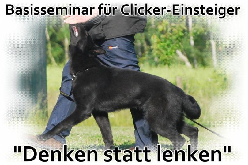 Basisseminare für Clickeranfänger