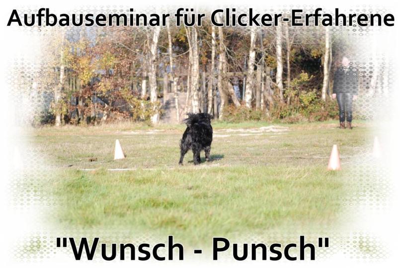 Aufbauseminare für Clicker-Fortgeschrittene