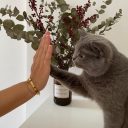 Catcentric