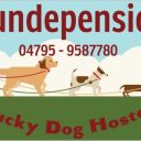 Hundepension LUCKY DOG HOSTEL