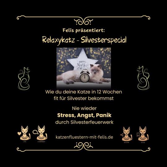 Relaxykatz – Silvesterspecial
