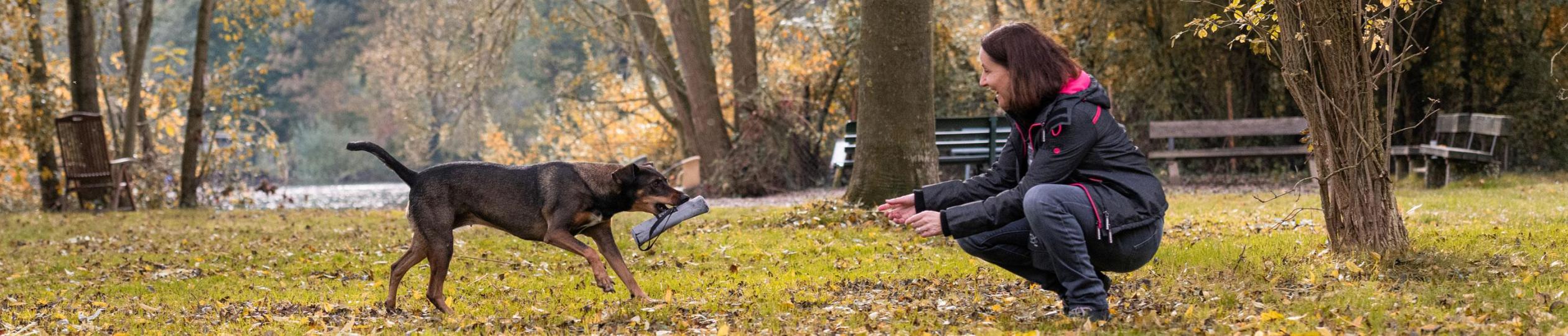 Krimiwanderung mit Hund