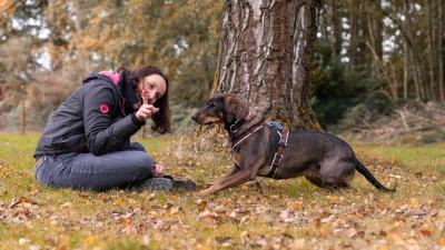 Begegnungstraining (nicht nur) für Leinenpöbler!