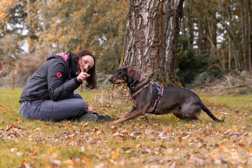 Begegnungstraining (nicht nur) für Leinenpöbler!