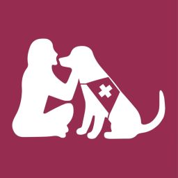 Mein Heldenhund