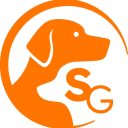 Hundeschule Schnauzgerecht