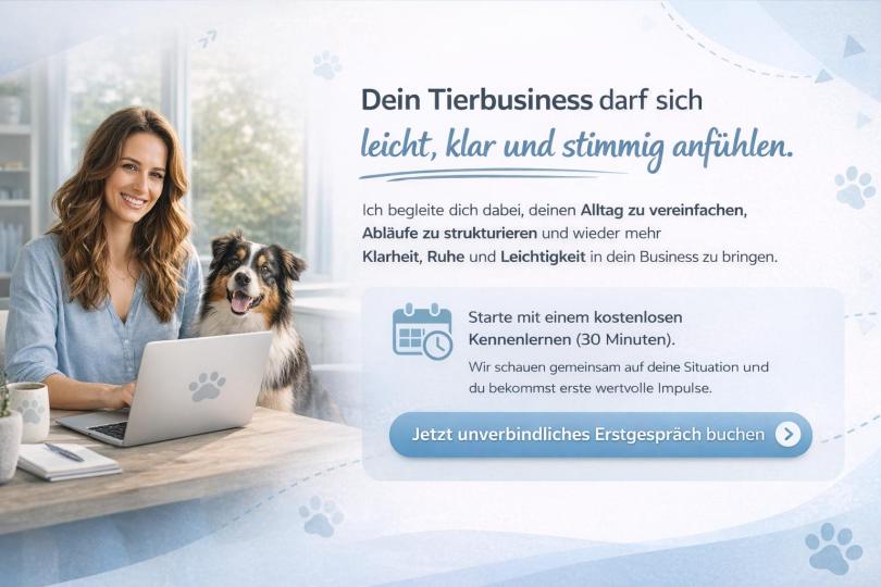 Strategie & Struktur für dein Tierbusiness